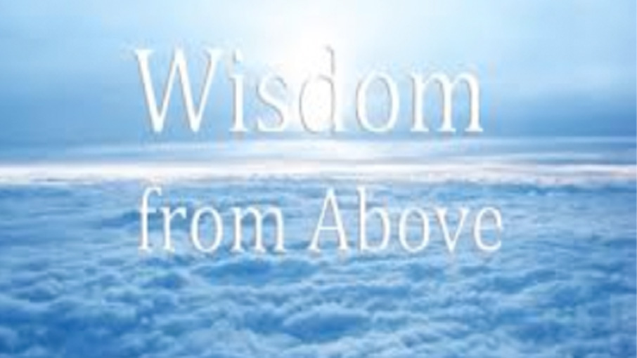 wisdom from above graphic with ocean